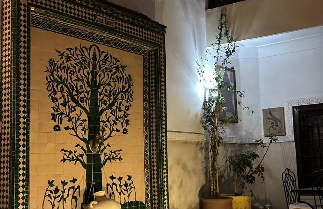 Riad Thycas-1